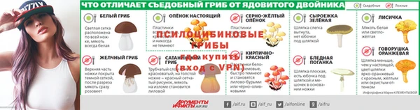 спайс Корсаков