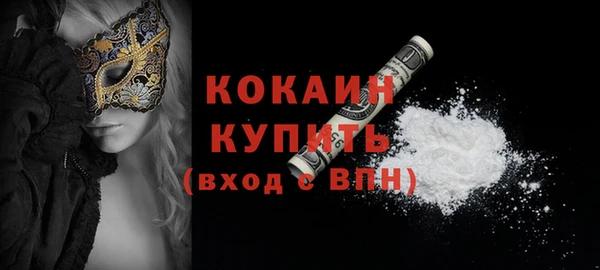 спайс Корсаков