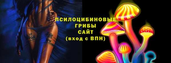 стаф Яранск