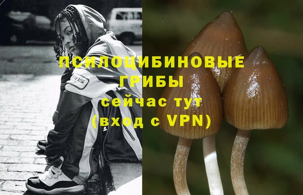 амфетамин Костерёво