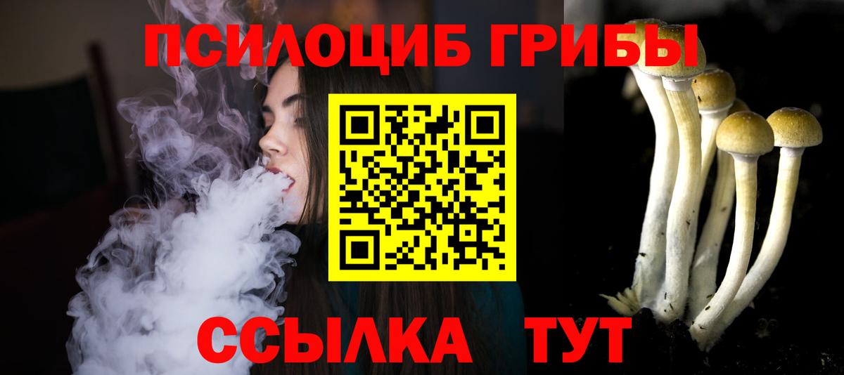 Галлюциногенные грибы MAGIC MUSHROOMS Химки